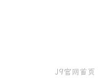 网站开发