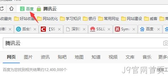 HTTPS 公司名显示2