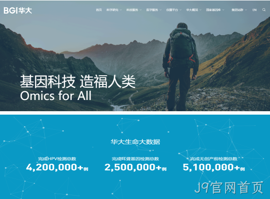 网站案例