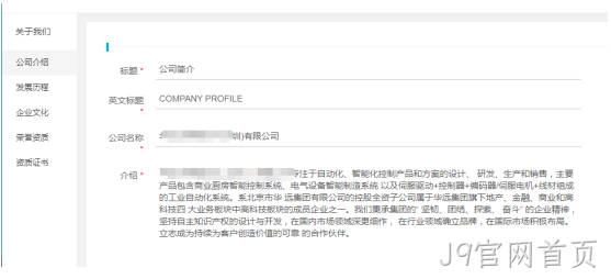 企业网站开发