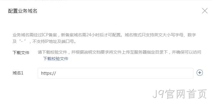 配置业务域名要求