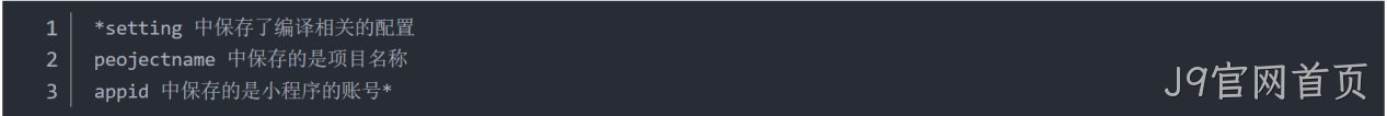 JSON 配置文件